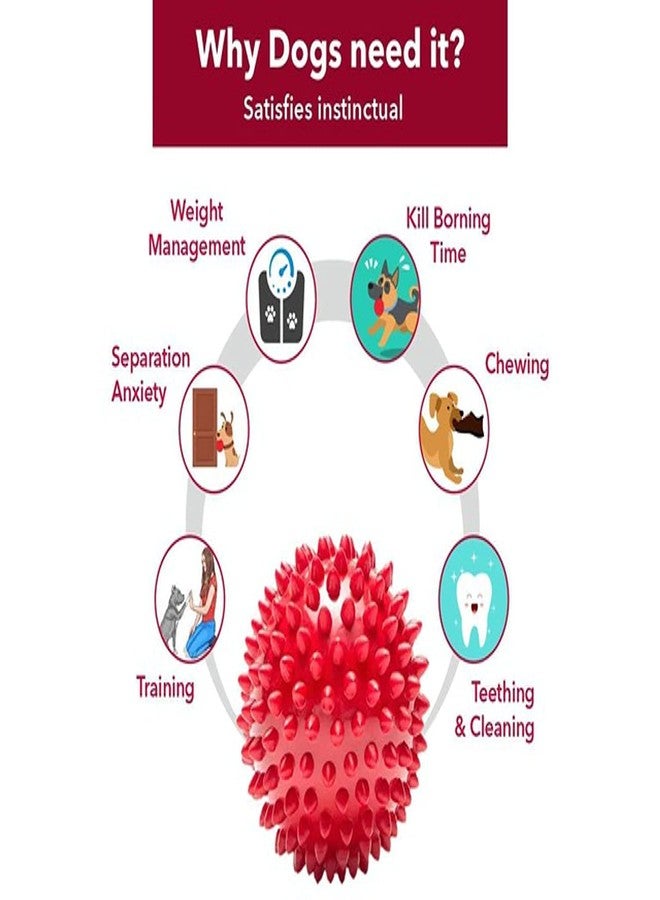 VetSafe Natural Rubber Spike Ball - 2.5inch/ 6.35cm | Suitable for Small to Medium Dogs and Puppies | Chewing, Teething, and Training Bouncy Ball Toy - Image 3